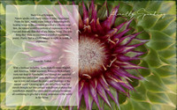 full cover radial flower