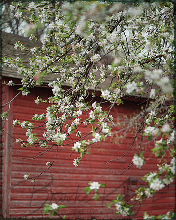 Cover barn