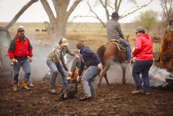 IMG_4667