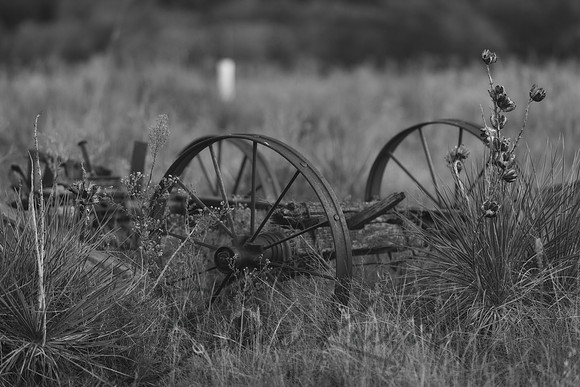 7P5A1638BW