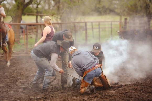 IMG_4736