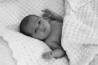 7P5A7782BW
