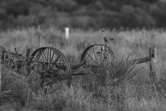 7P5A1637BW
