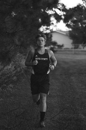 IMG_7152BW