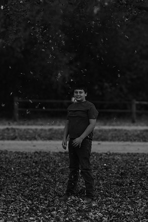 17P5A2588BW