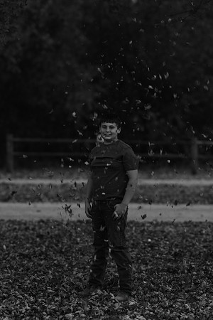 17P5A2591BW