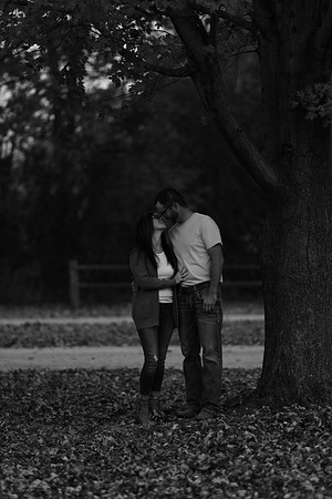 17P5A2708BW